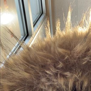 Meet your Posher, Bradon